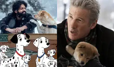 Movies to Watch on International Dog Day